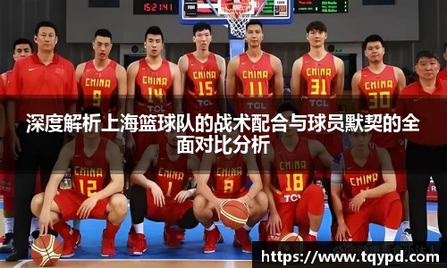 深度解析上海篮球队的战术配合与球员默契的全面对比分析