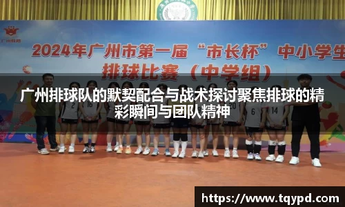 广州排球队的默契配合与战术探讨聚焦排球的精彩瞬间与团队精神